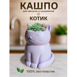 Купить Кашпо для кактусов и суккулентов кот 2 ASDAMATOYS