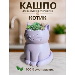 Кашпо для кактусов и суккулентов кот 2