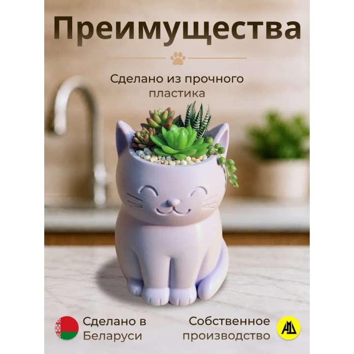 Купить Кашпо для кактусов и суккулентов кот 2 ASDAMATOYS