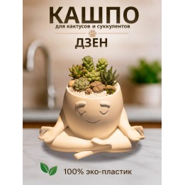 Купить Кашпо для кактусов и суккулентов Дзен ASDAMATOYS