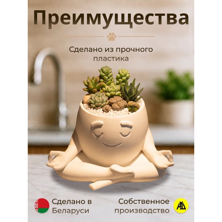 Купить Кашпо для кактусов и суккулентов Дзен ASDAMATOYS