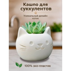 Кашпо для суккулентов котик