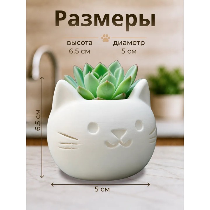 Купить Кашпо для суккулентов котик ASDAMATOYS