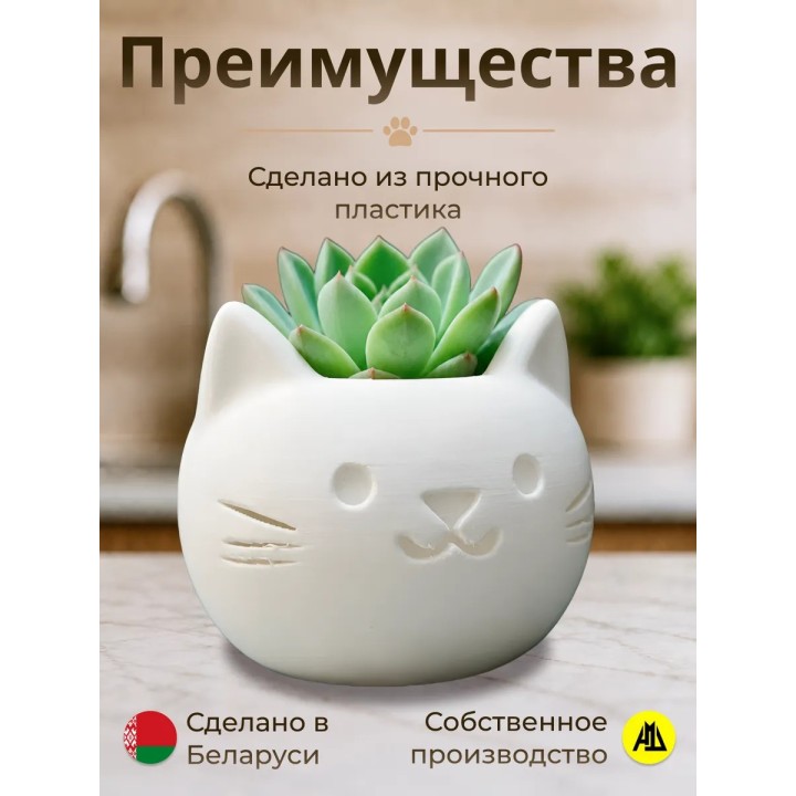 Купить Кашпо для суккулентов котик ASDAMATOYS