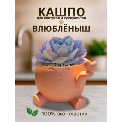 кашпо для кактусов и суккулентов сердце