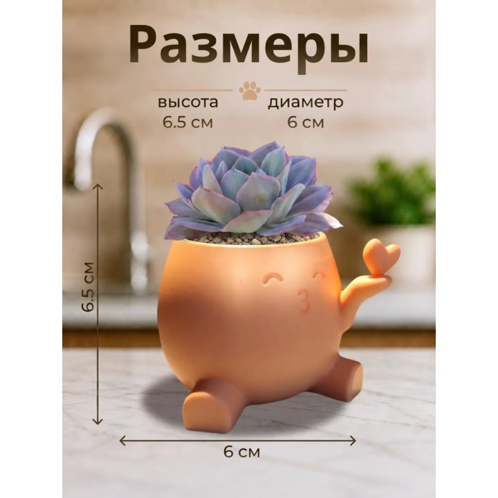 Купить кашпо для кактусов и суккулентов сердце ASDAMATOYS