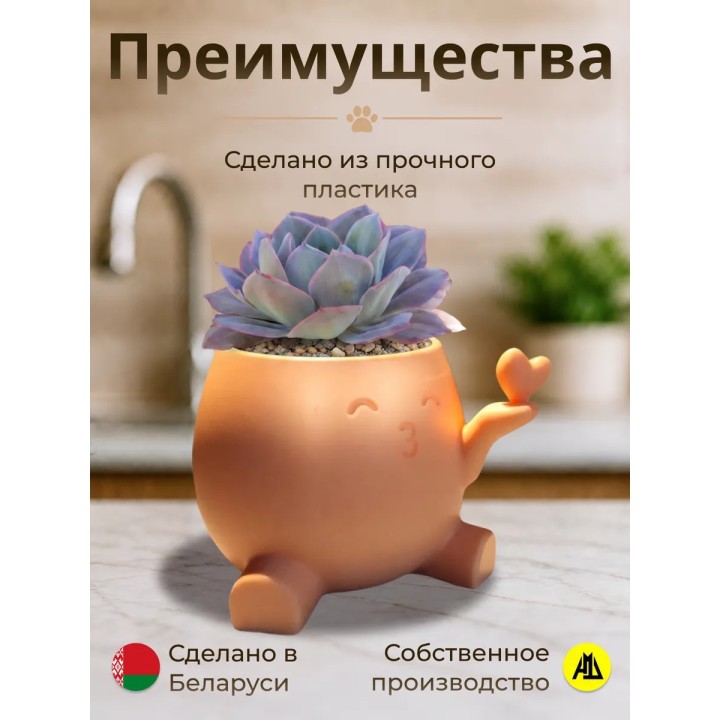 Купить кашпо для кактусов и суккулентов сердце ASDAMATOYS