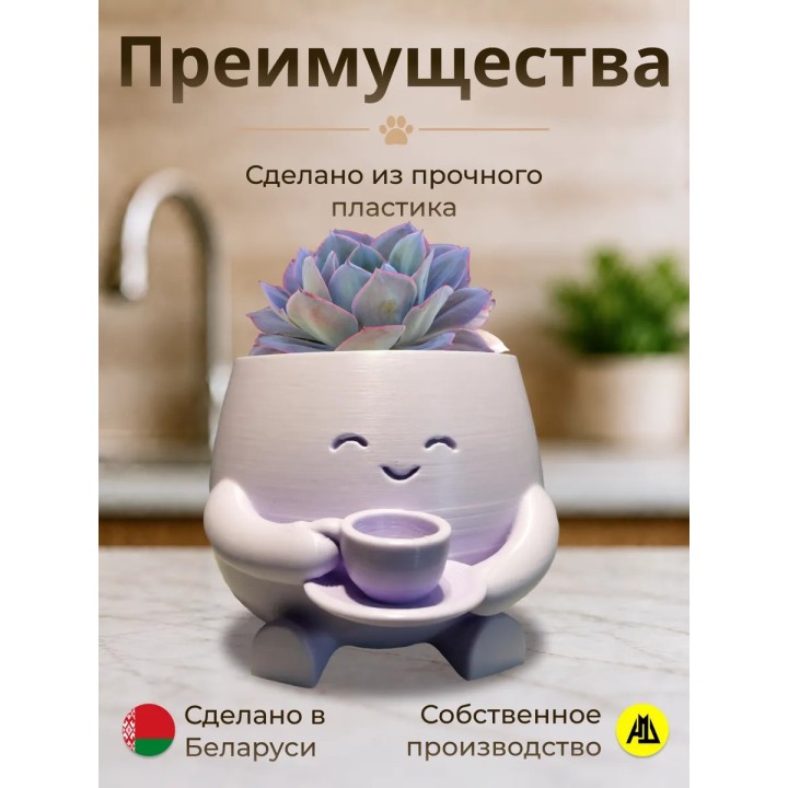 Купить Кашпо для кактусов и суккулентов 1 ASDAMATOYS