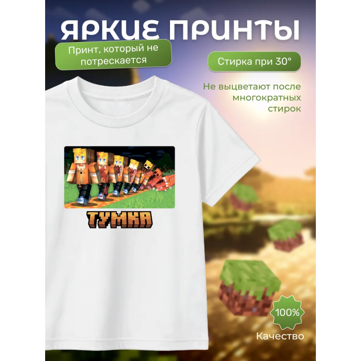 тумка футболка minectaft 3