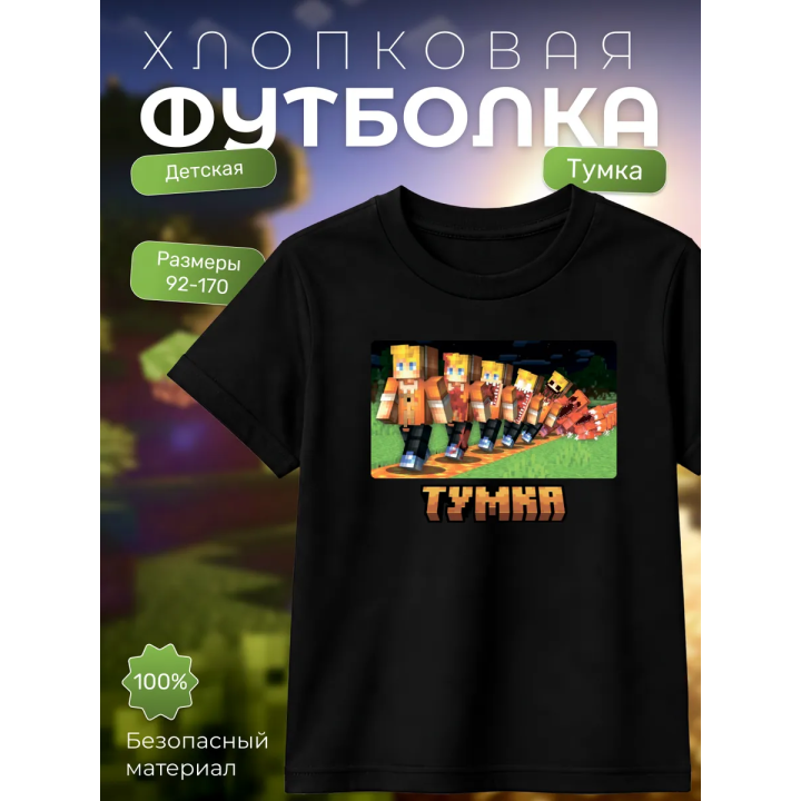 тумка футболка minectaft 3