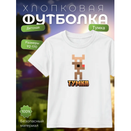 тумка футболка minectaft 2