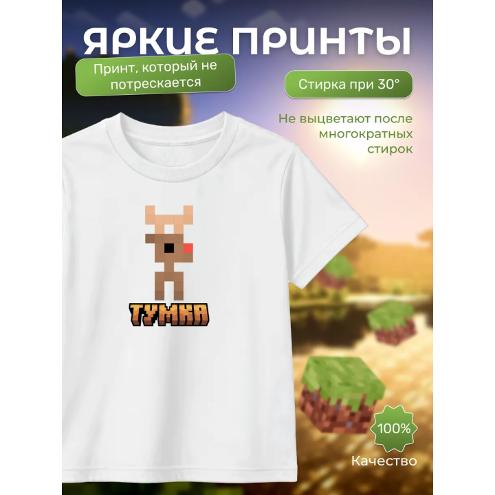 тумка футболка minectaft 2
