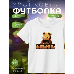 Мерч бискаса футболка minecraft