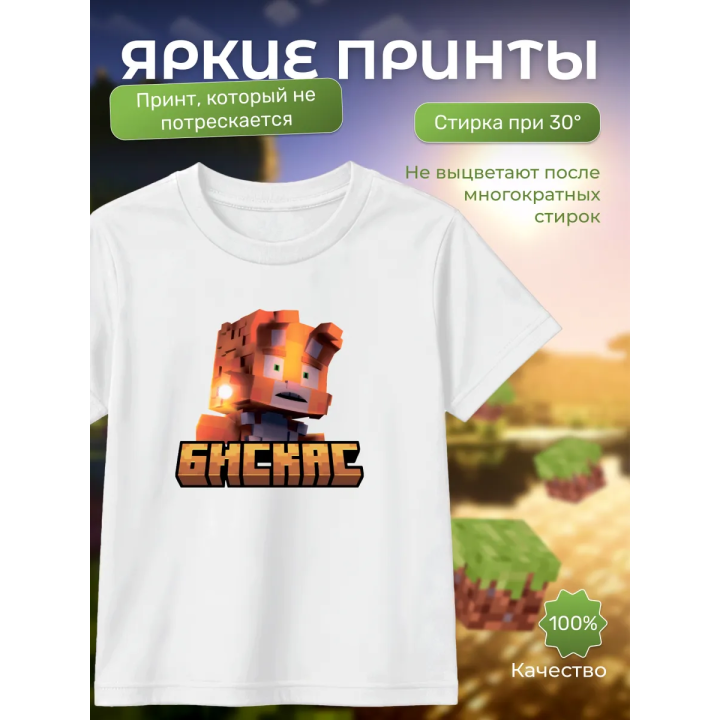 Мерч бискаса футболка minecraft 2