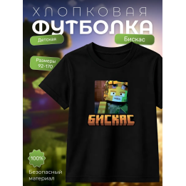 Мерч бискаса футболка minecraft 3