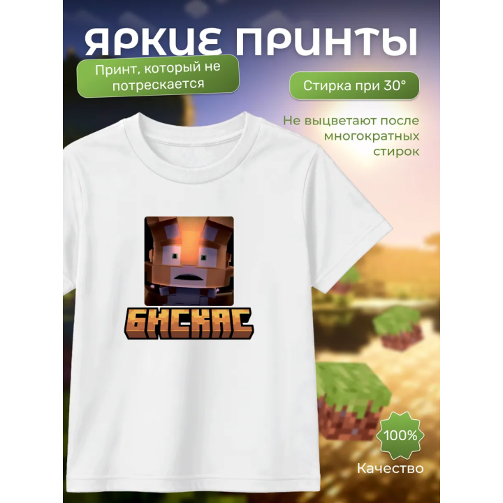Мерч бискаса футболка minecraft 4