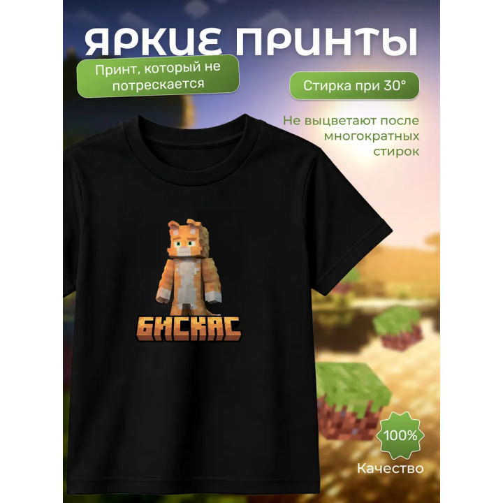 Мерч бискаса футболка minecraft 5