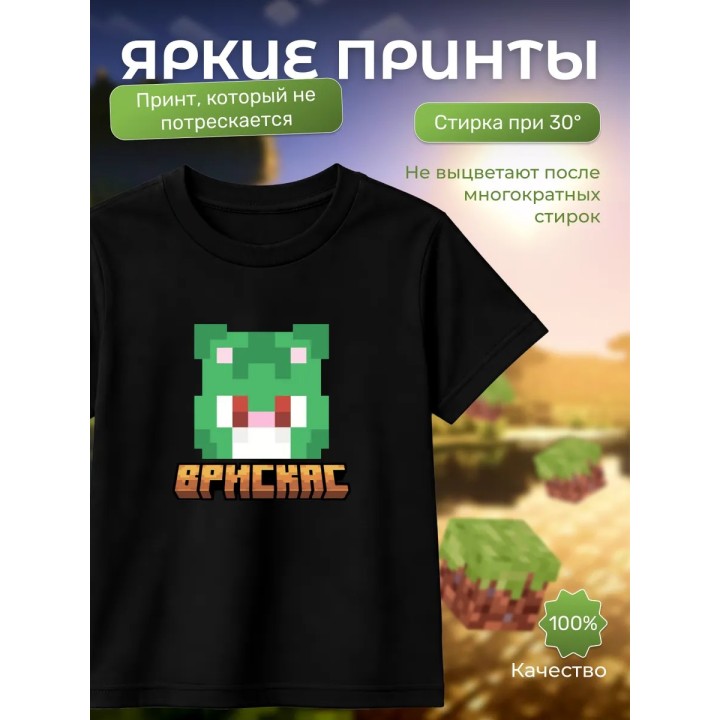 Мерч бискаса футболка minecraft 6