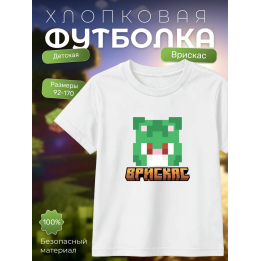 Мерч бискаса футболка minecraft 6