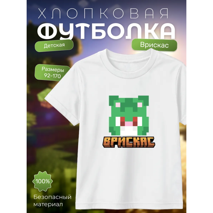 Мерч бискаса футболка minecraft 6