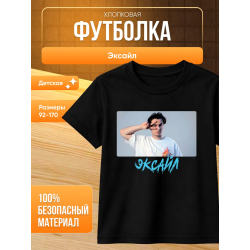 мерч эксайла футболка