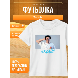 мерч эксайла футболка