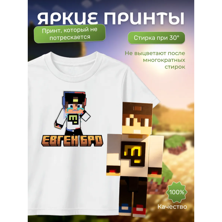 евген бро minecraft футболка набор 1