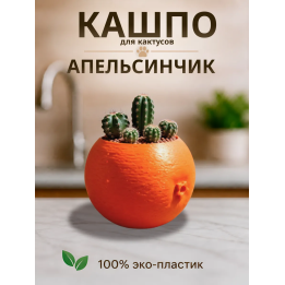 Кашпо для кактусов апельсин