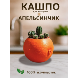 Кашпо для кактусов апельсин