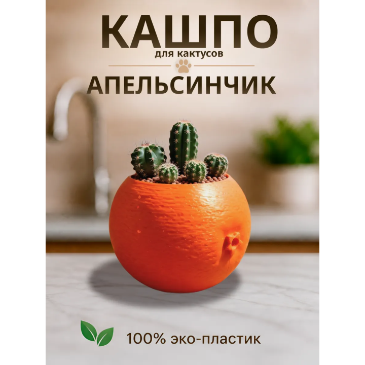 Кашпо для кактусов апельсин