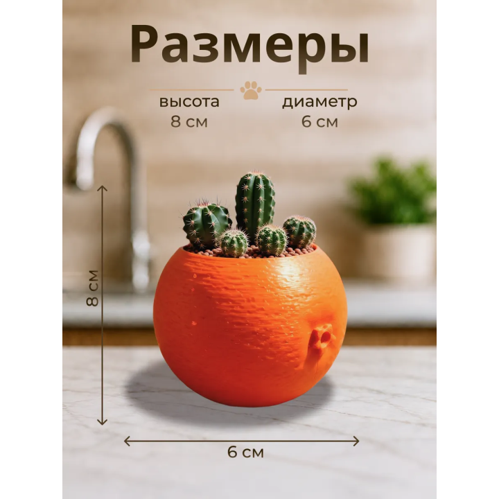 Кашпо для кактусов апельсин