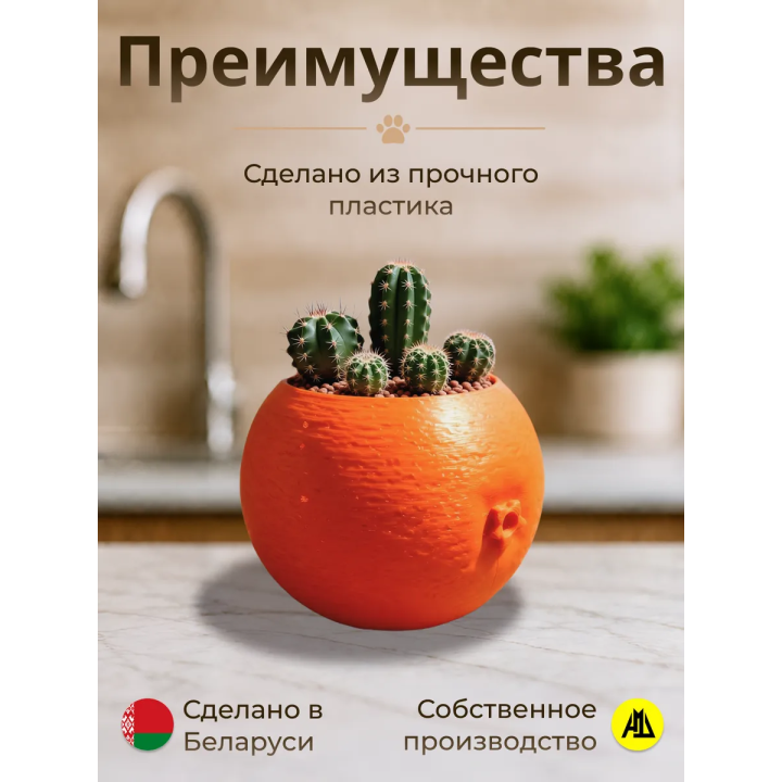 Кашпо для кактусов апельсин