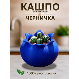 Кашпо для кактусов черника