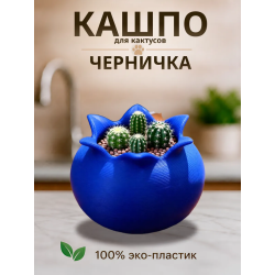 Кашпо для кактусов черника