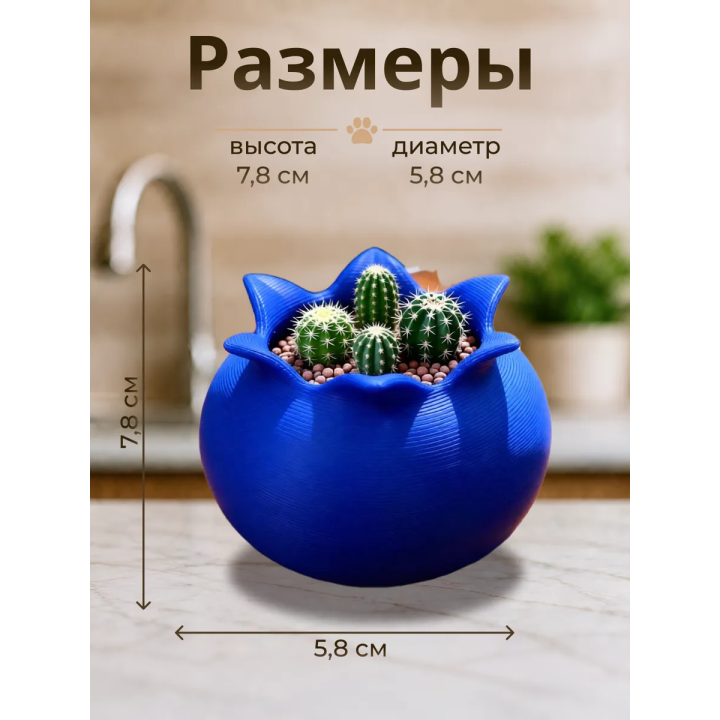 Кашпо для кактусов черника