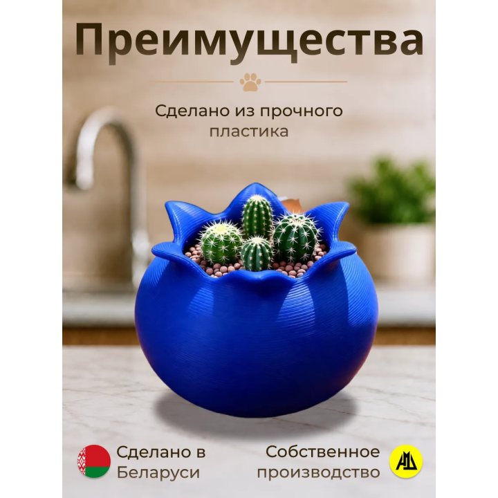 Кашпо для кактусов черника