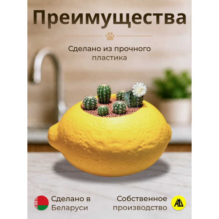 Кашпо для кактусов лимон