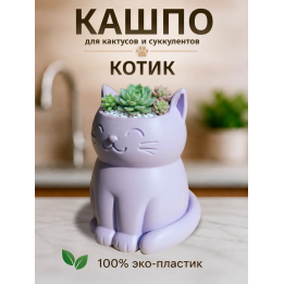 Кашпо для кактусов и суккулентов кот 2