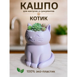 Кашпо для кактусов и суккулентов кот 2