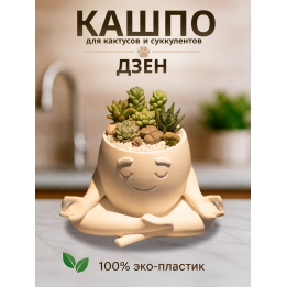 Кашпо для кактусов и суккулентов Дзен