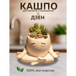 Кашпо для кактусов и суккулентов Дзен