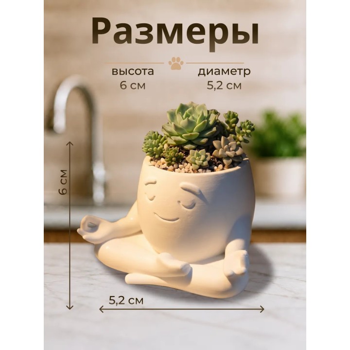 Кашпо для кактусов и суккулентов Дзен