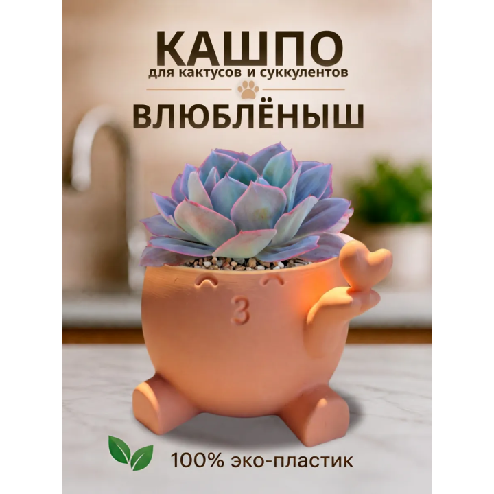 кашпо для кактусов и суккулентов сердце