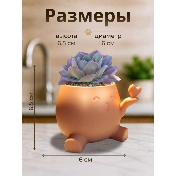 кашпо для кактусов и суккулентов сердце
