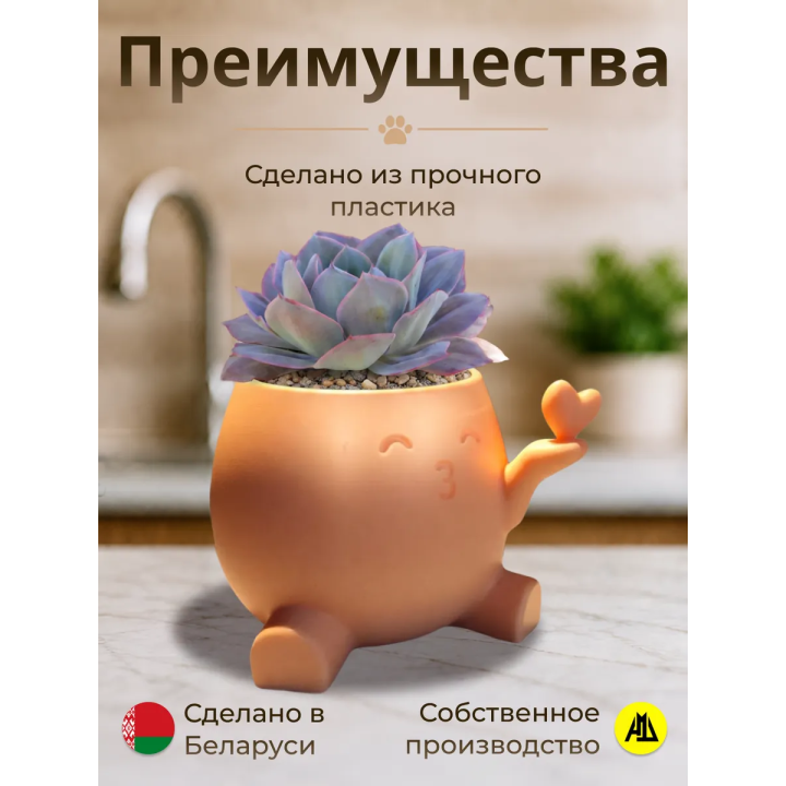 кашпо для кактусов и суккулентов сердце