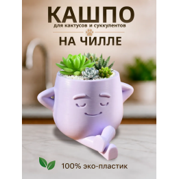 кашпо для кактусов и суккулентов 3