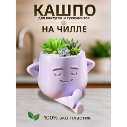 кашпо для кактусов и суккулентов 3
