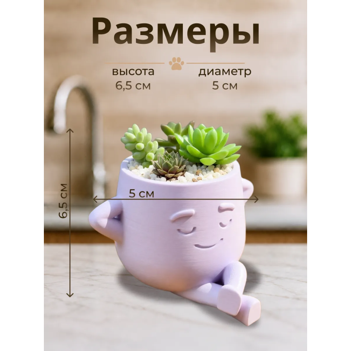 кашпо для кактусов и суккулентов 3