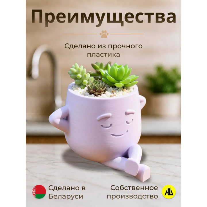 кашпо для кактусов и суккулентов 3
