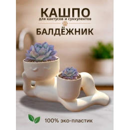 кашпо для кактусов и суккулентов 2